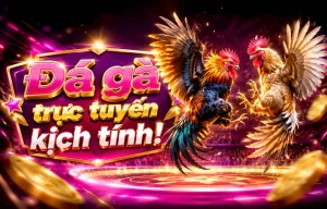 Đá Gà houseofdervish